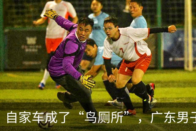 自家车成了“鸟厕所”，广东男子莫名确诊肺炎，医生：已有数例此类患者；温馨提醒：鸟粪不能随意擦