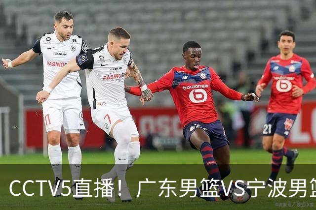 CCTV5直播！广东男篮VS宁波男篮，赛前带来广东男篮徐杰、弗格、崔永熙以及宁波男篮赵岩昊的最新消息